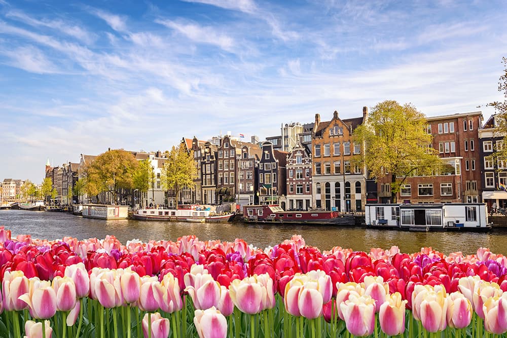 Amsterdam city skyline