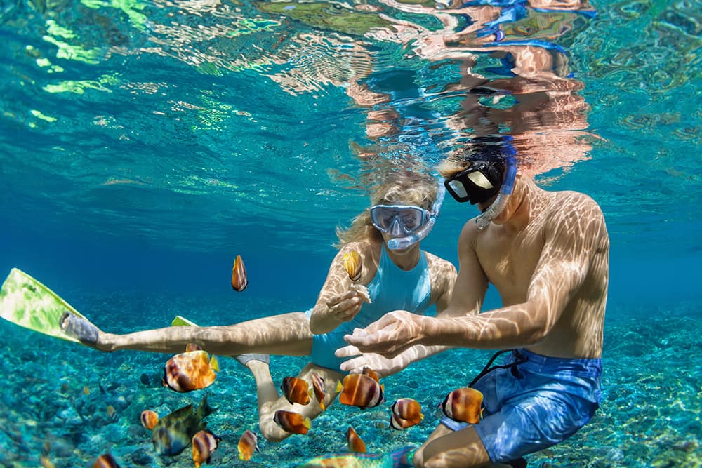 Snorkeling