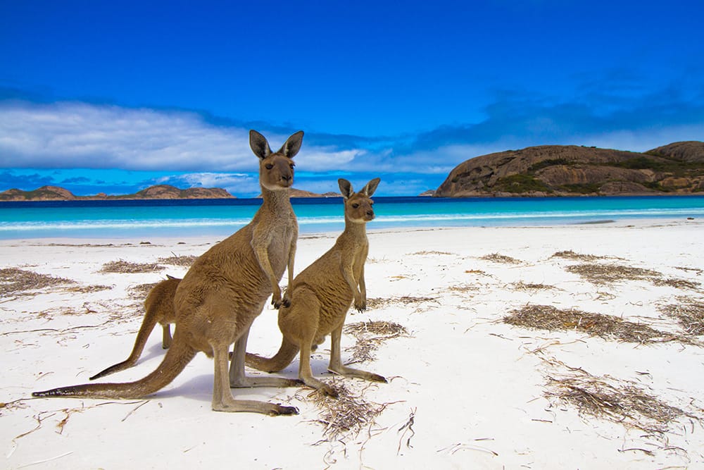 Visit Australia