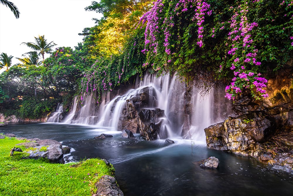 Hawaiian Waterfall