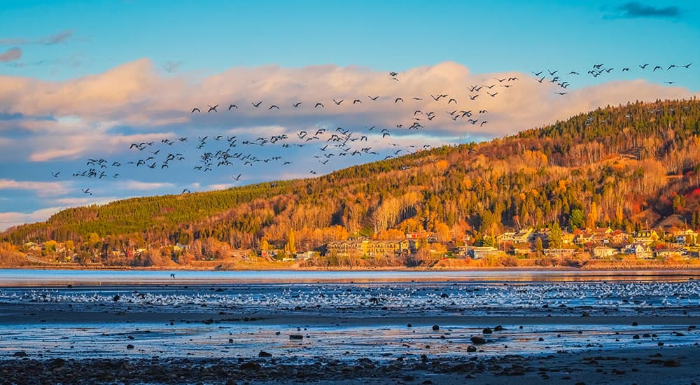 Norwegian Racetrack