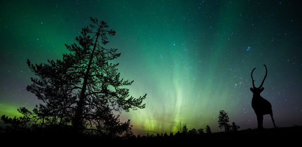 Northern Lights above Alaska