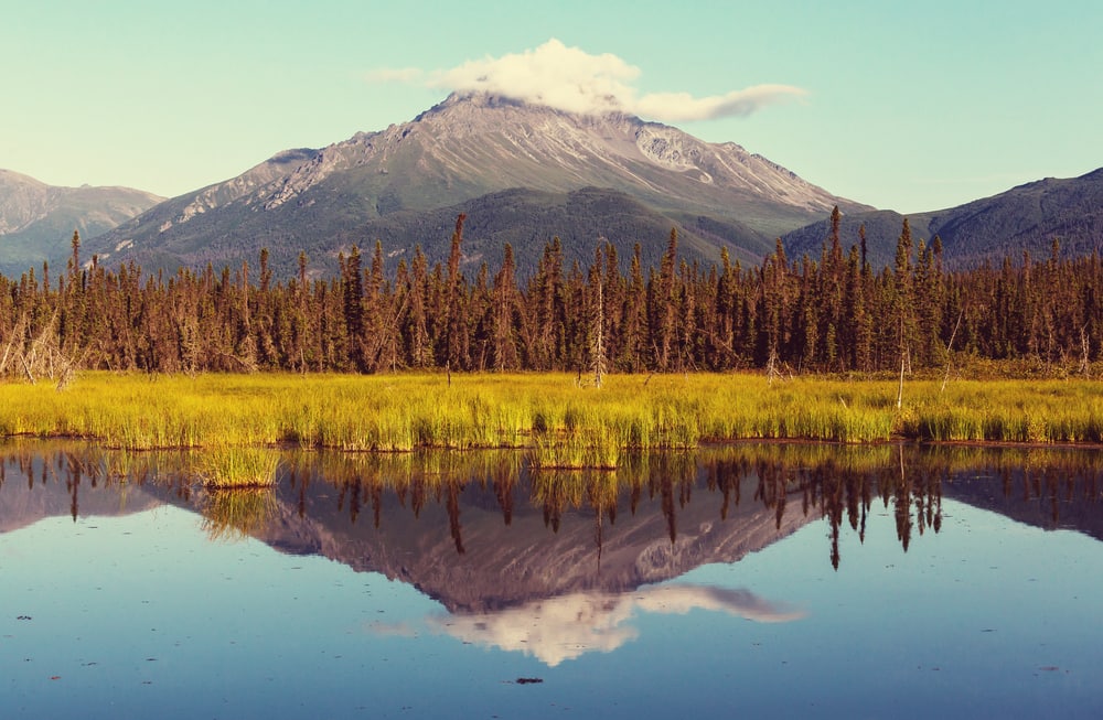 Norwegian Bliss Cruise to Alaska - Denali National Park