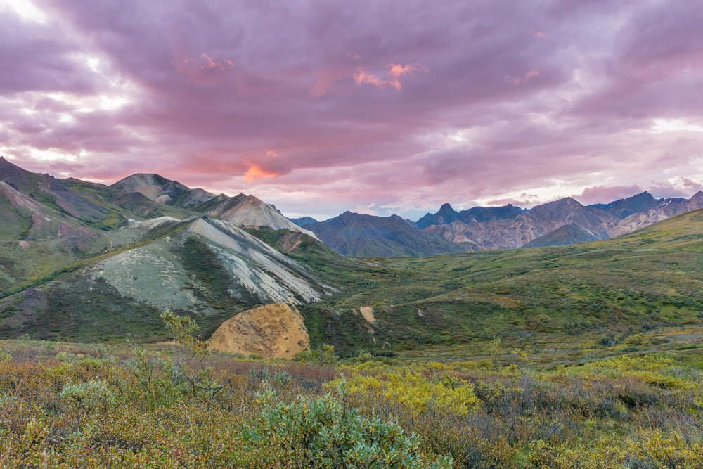 Denali National Park, Alaska