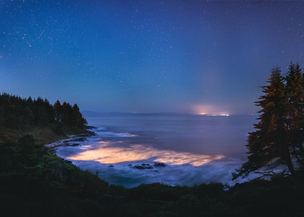 Bioluminescence in the Ocean 