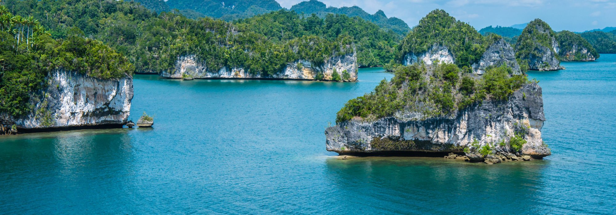 Nes Travel travel agents packages deals