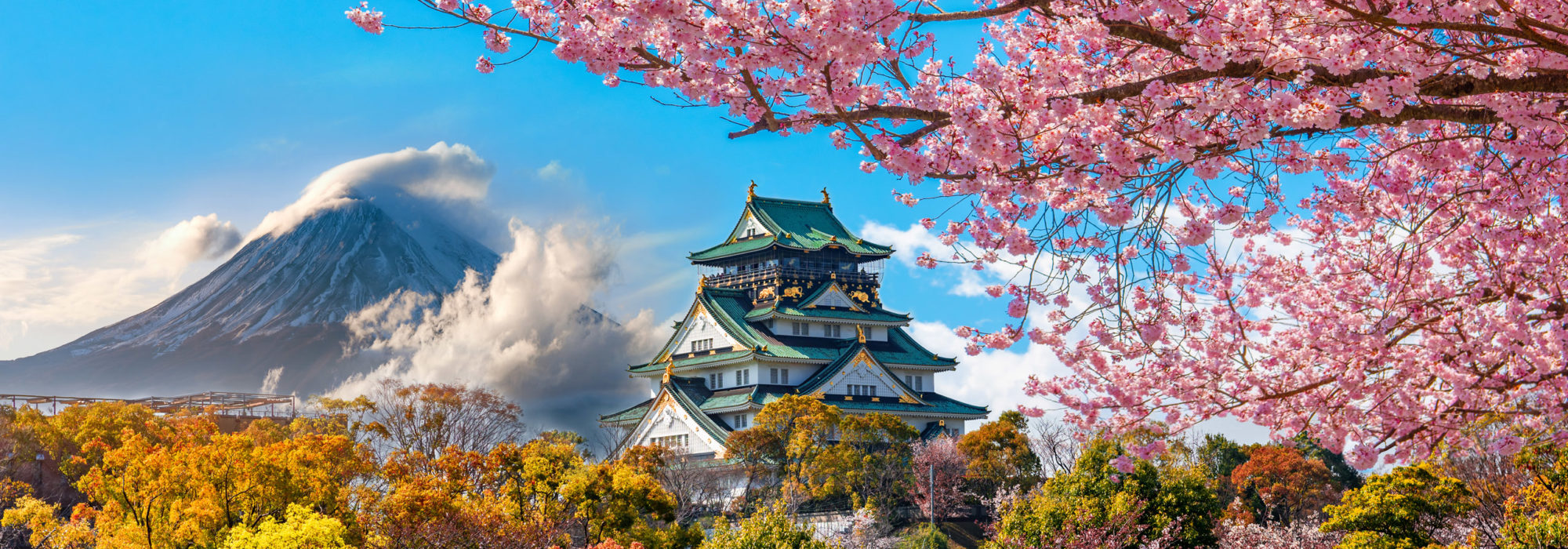 Japan travel agents packages deals