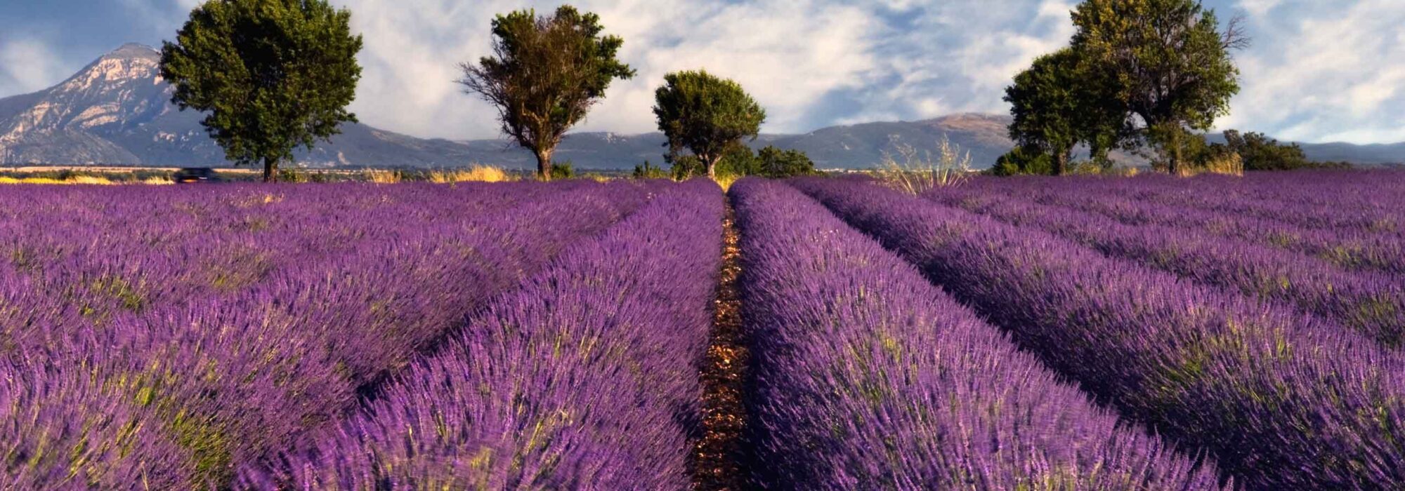 Provence Travel travel agents packages deals