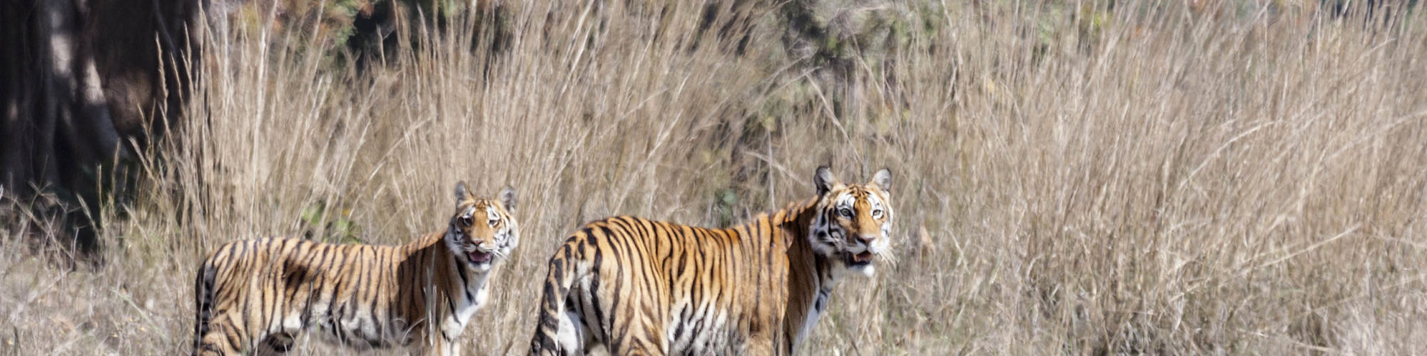  travel agents packages deals