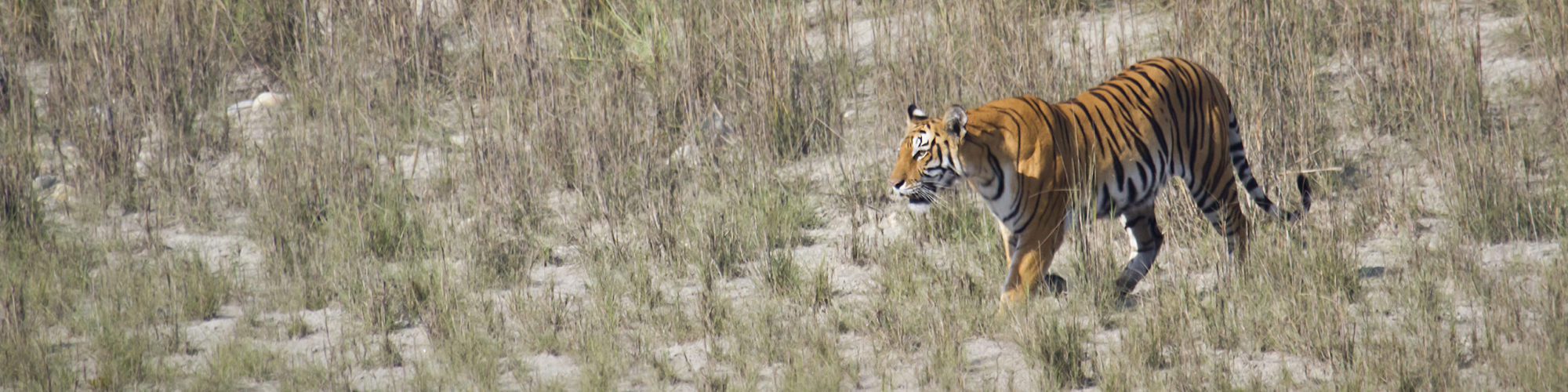 Bardia National Park travel agents packages deals