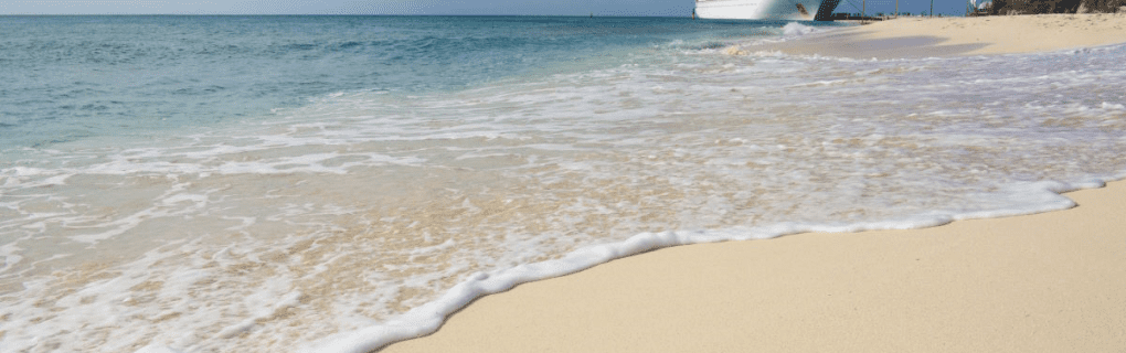 Best Travel agency for cruises in Alabama. Use the cruise travel agent experts at Vincent Vacations travel agency. They have cruise agents in Alabama ready to help. In travel since 2002, Vincent Vacations has the best cruise travel agents certified and awarded in ocean cruises, river cruises, expedition cruises, yacht style, sailing vacations and more.