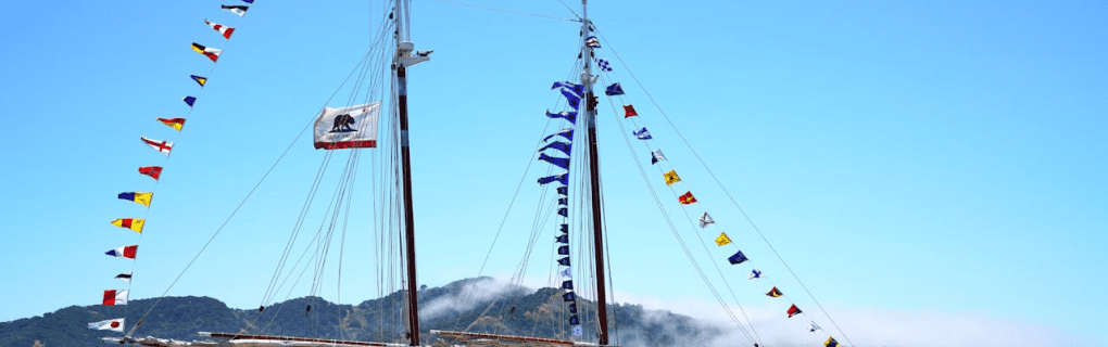 Best Travel agency for cruises in California. Use the cruise travel agent experts at Vincent Vacations travel agency. They have cruise agents in California ready to help. In travel since 2002, Vincent Vacations has the best cruise travel agents certified and awarded in ocean cruises, river cruises, expedition cruises, yacht style, sailing vacations and more.