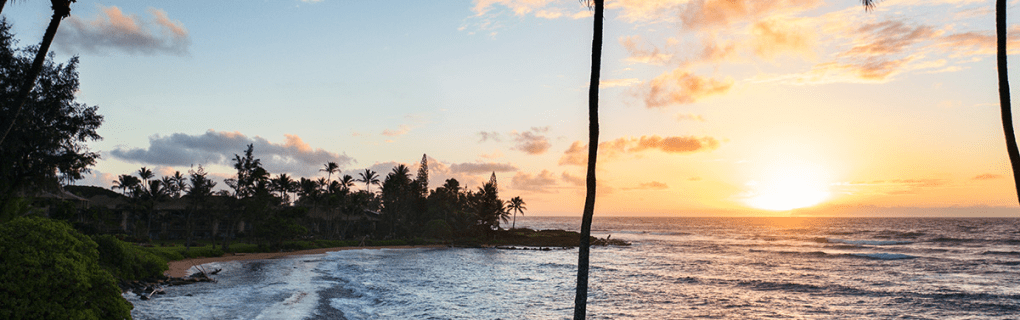 Best Travel agency for cruises in Hawaii. Use the cruise travel agent experts at Vincent Vacations travel agency. They have cruise agents in Hawaii ready to help. In travel since 2002, Vincent Vacations has the best cruise travel agents certified and awarded in ocean cruises, river cruises, expedition cruises, yacht style, sailing vacations and more.