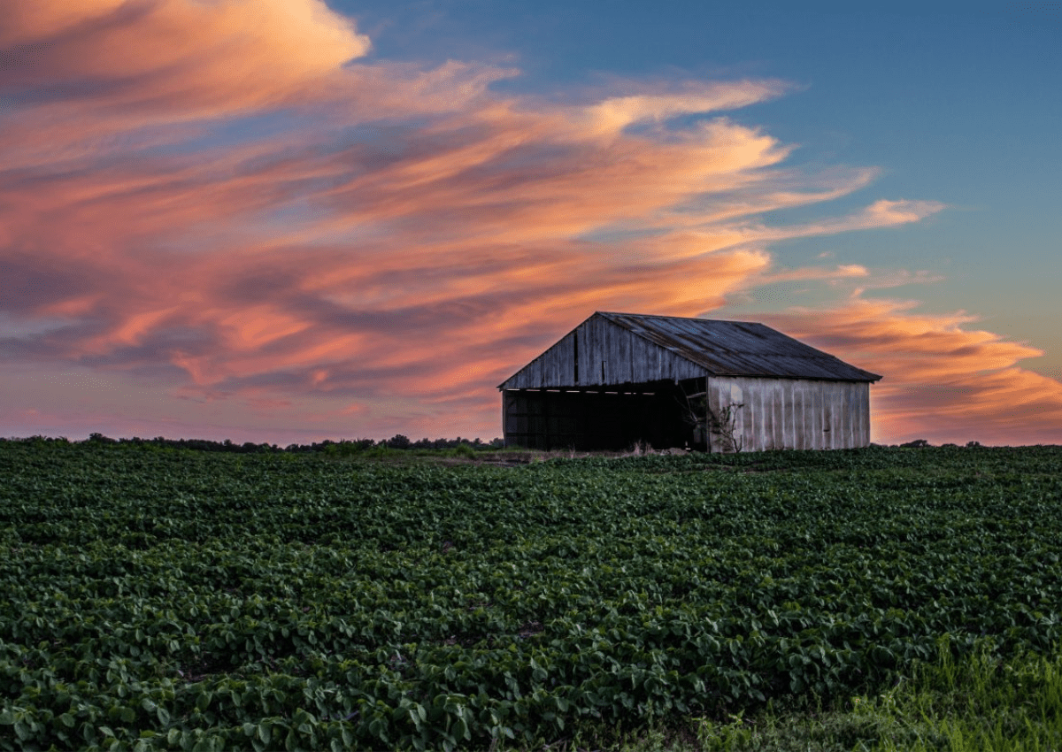 become a travel agent in indiana