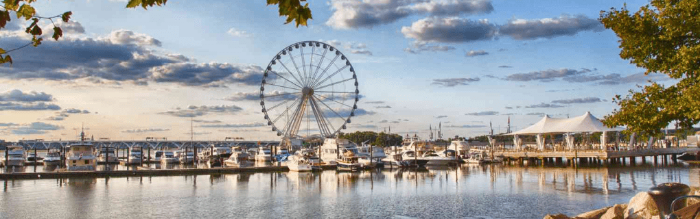 Best Travel agency for cruises in Maryland. Use the cruise travel agent experts at Vincent Vacations travel agency. They have cruise agents in Maryland ready to help. In travel since 2002, Vincent Vacations has the best cruise travel agents certified and awarded in ocean cruises, river cruises, expedition cruises, yacht style, sailing vacations and more.