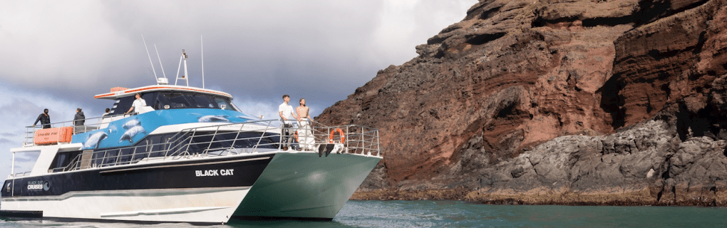 Best Travel agency for cruises in Montana. Use the cruise travel agent experts at Vincent Vacations travel agency. They have cruise agents in Montana ready to help. In travel since 2002, Vincent Vacations has the best cruise travel agents certified and awarded in ocean cruises, river cruises, expedition cruises, yacht style, sailing vacations and more.