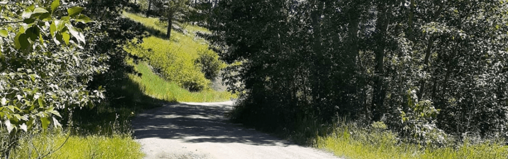 Best Travel agency for cruises in Montana. Use the cruise travel agent experts at Vincent Vacations travel agency. They have cruise agents in Montana ready to help. In travel since 2002, Vincent Vacations has the best cruise travel agents certified and awarded in ocean cruises, river cruises, expedition cruises, yacht style, sailing vacations and more.