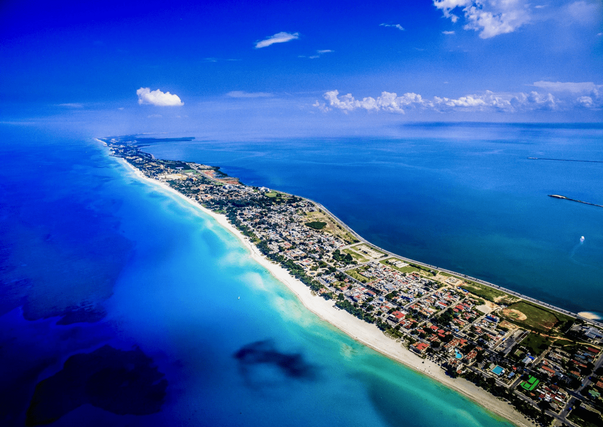 become a travel agent in nevada