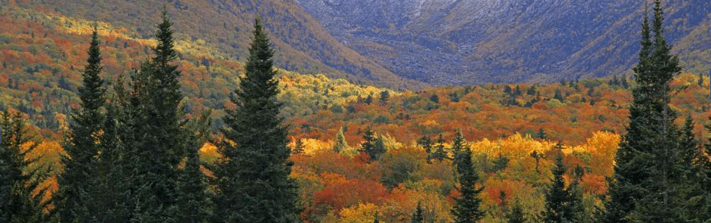 Best Travel agency for cruises in New Hampshire. Use the cruise travel agent experts at Vincent Vacations travel agency. They have cruise agents in New Hampshire ready to help. In travel since 2002, Vincent Vacations has the best cruise travel agents certified and awarded in ocean cruises, river cruises, expedition cruises, yacht style, sailing vacations and more.