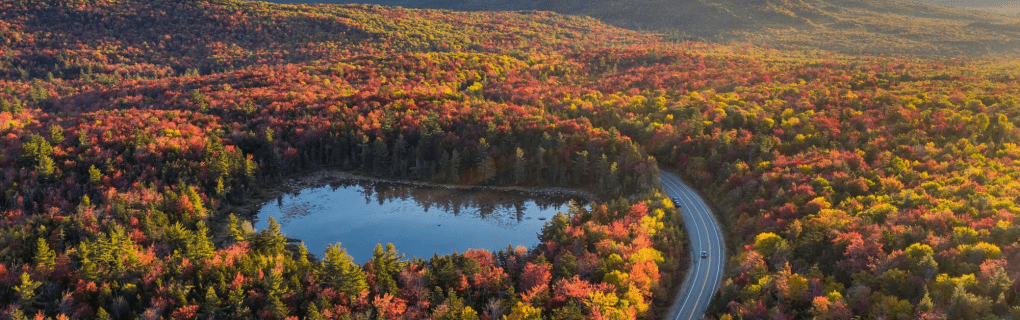 Best Travel agency for cruises in New Hampshire. Use the cruise travel agent experts at Vincent Vacations travel agency. They have cruise agents in New Hampshire ready to help. In travel since 2002, Vincent Vacations has the best cruise travel agents certified and awarded in ocean cruises, river cruises, expedition cruises, yacht style, sailing vacations and more.