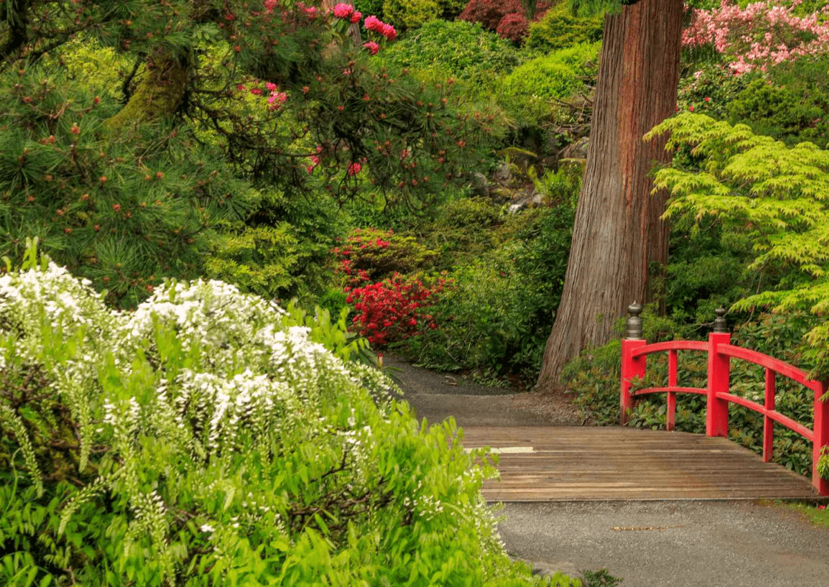 become a travel agent in washington