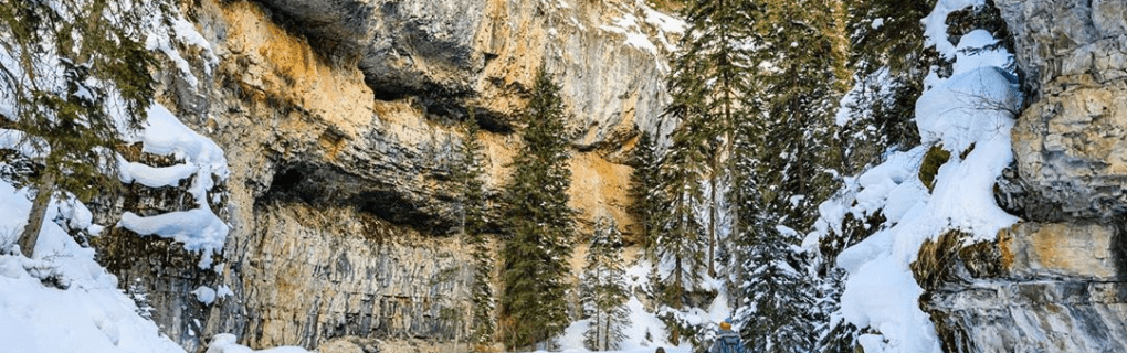 Best Travel agency for cruises in Wyoming. Use the cruise travel agent experts at Vincent Vacations travel agency. They have cruise agents in Wyoming ready to help. In travel since 2002, Vincent Vacations has the best cruise travel agents certified and awarded in ocean cruises, river cruises, expedition cruises, yacht style, sailing vacations and more.