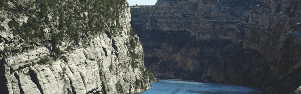 Best Travel agency for cruises in Wyoming. Use the cruise travel agent experts at Vincent Vacations travel agency. They have cruise agents in Wyoming ready to help. In travel since 2002, Vincent Vacations has the best cruise travel agents certified and awarded in ocean cruises, river cruises, expedition cruises, yacht style, sailing vacations and more.