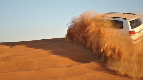 Liwa Oasis Full-Day Safari with Lunch by Gray Line