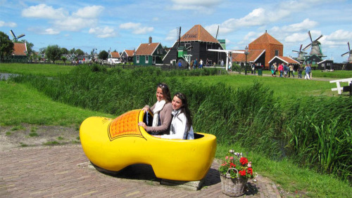 Dutch Countryside & Cheese Farm Bike Tour