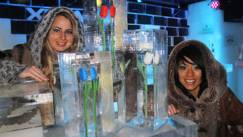 Xtracold Icebar Amsterdam Admission with Drinks