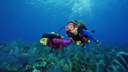 Scuba Diving Lesson & Guided Open-Water Dive