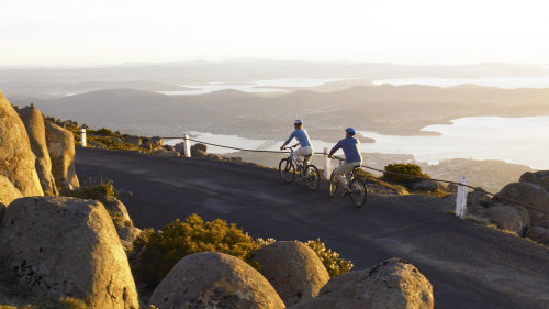 Mount Wellington Bicycle Descent by Under Down Under Tours
