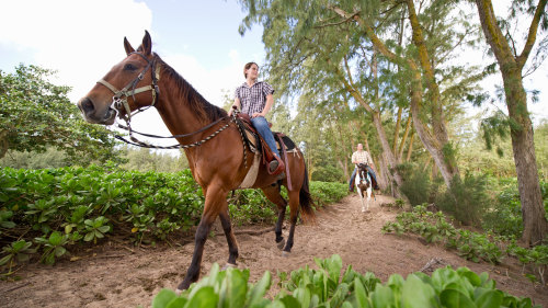 3-Day Horse Ride & Rafting Trip by River Valley