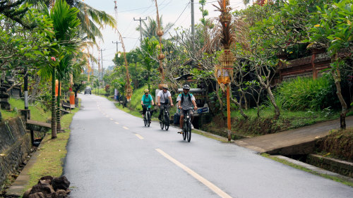Cycling Tour with Cooking Class & Balinese Buffet Lunch by Tour East
