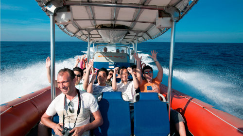 Bali Hai Dolphin Cruise