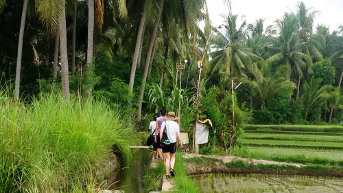 Private Bali Herbal Walk & Jamu Making by EXO Travel