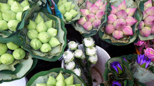Buddhist Almsgiving & Flower Market Tour