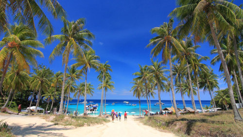 Coral & Racha Islands Full-Day Tour