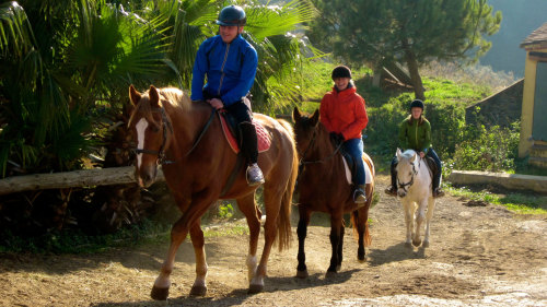Horseback Riding Experience in Collserola Park by Living It