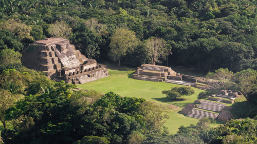 Altun Ha Maya Site and Belize Zoo Combo Tour