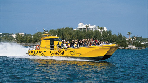 WildCat Powerboat Adventure