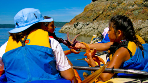 2-Day James Island Sea Kayaking & Camping Adventure