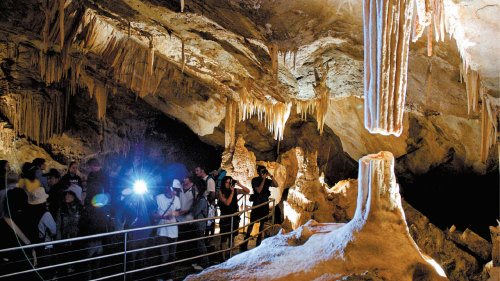Blue Mountains & Jenolan Caves Day Tour by AAT Kings