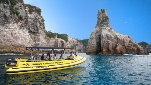 Full Monty Cathedral Cove Cruise by Ocean Leopard