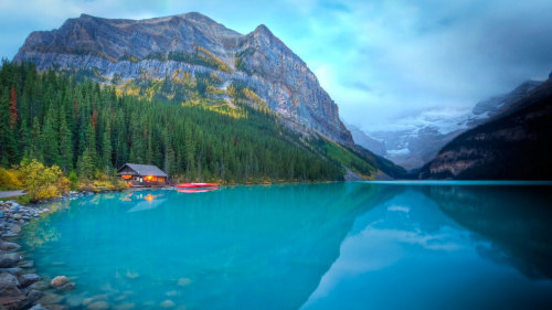 Guided Lake Louise Tour & Lunch