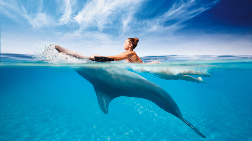 Dolphinaris Cancun: Interactive Dolphin Programs