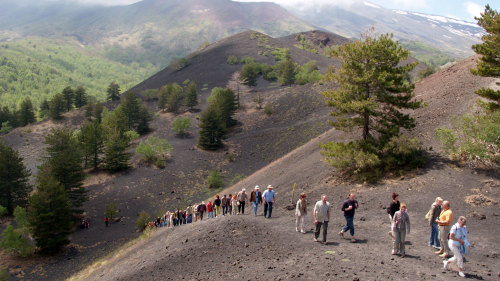Half-Day Mount Etna Tour