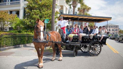 Residential Horse-Drawn Carriage Ride