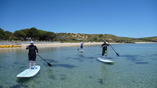 Stand-Up Paddleboarding Lesson