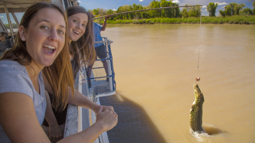 Jumping Crocodile Afternoon Cruise & Tour by AAT Kings